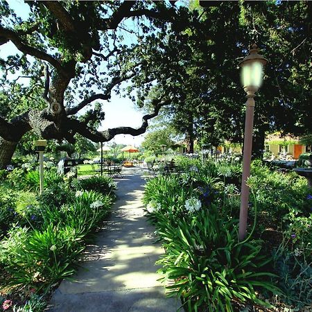 Meadowlark Inn Solvang Zewnętrze zdjęcie