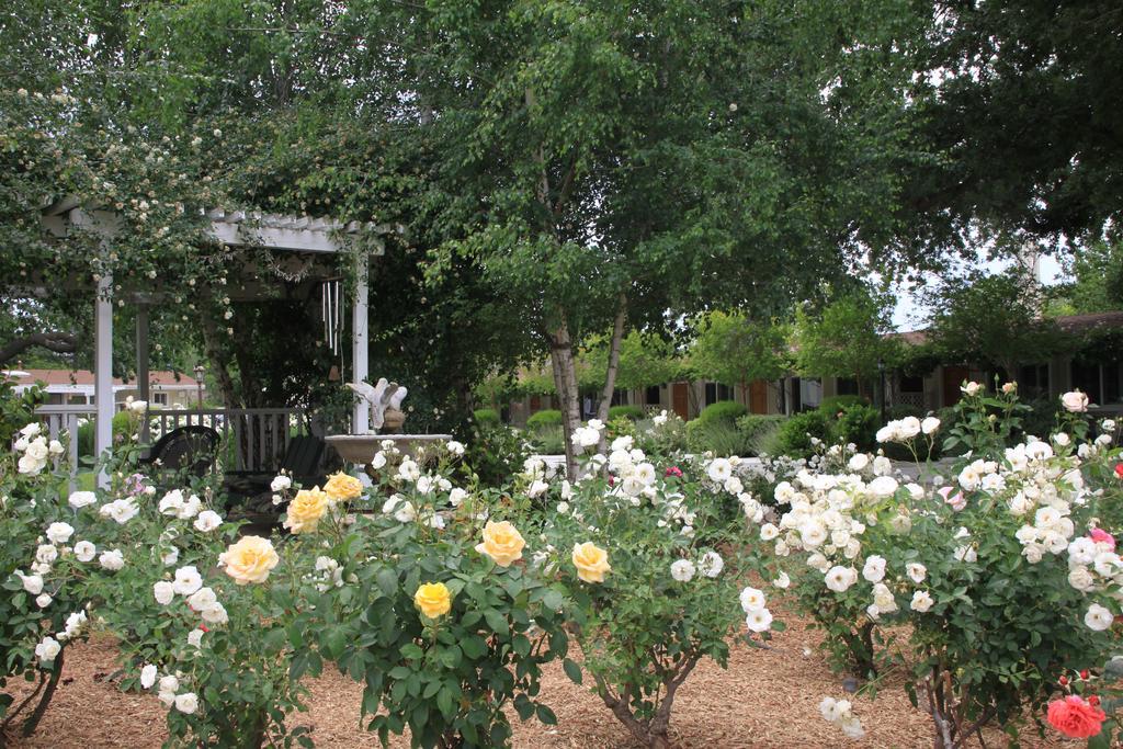 Meadowlark Inn Solvang Zewnętrze zdjęcie