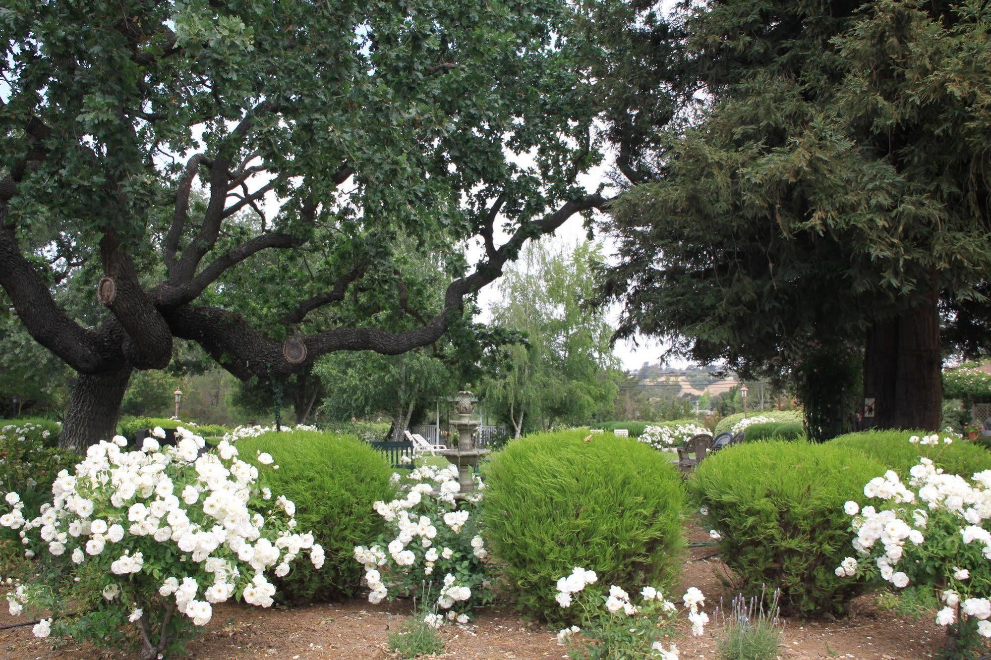 Meadowlark Inn Solvang Zewnętrze zdjęcie