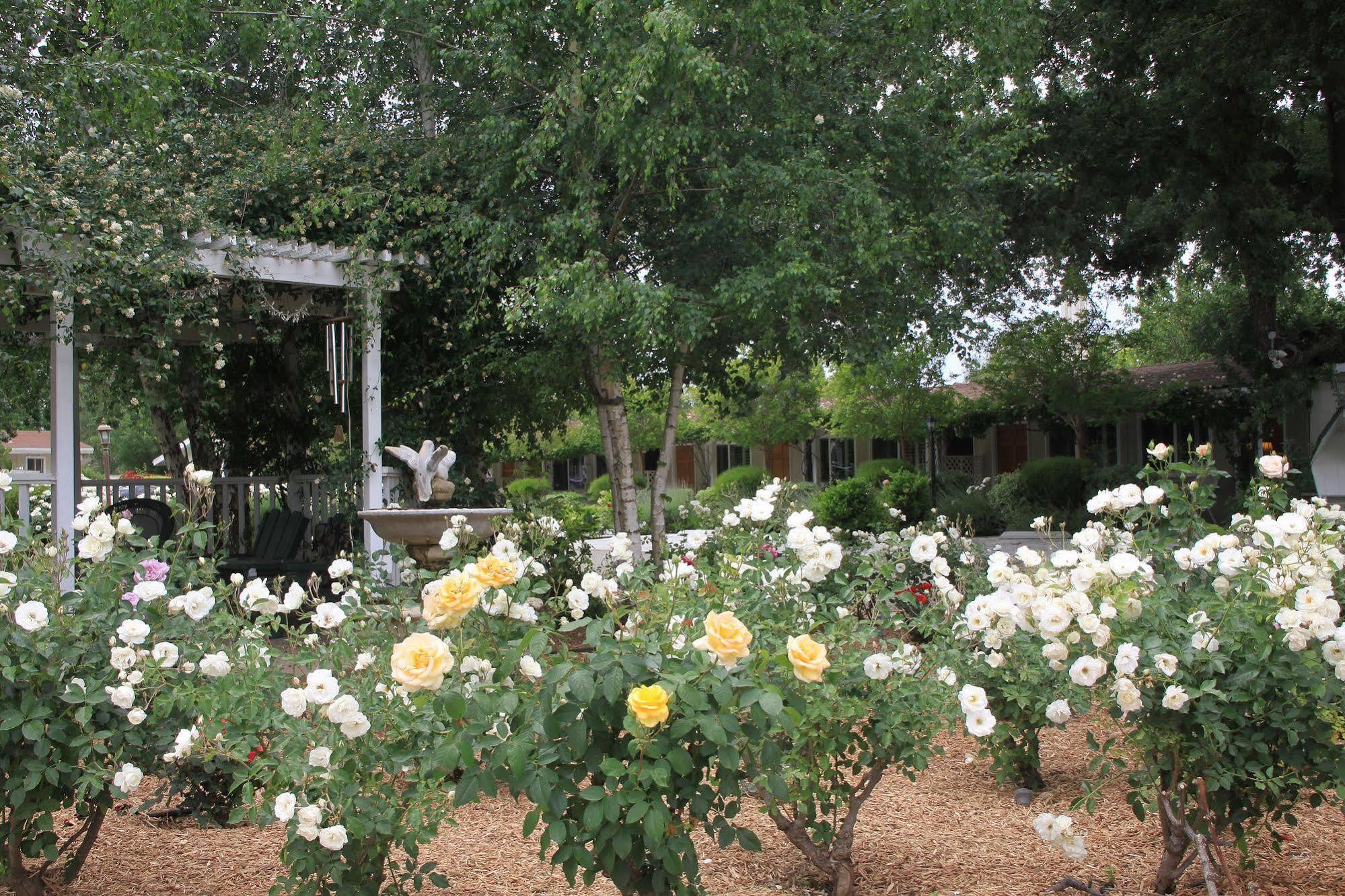 Meadowlark Inn Solvang Zewnętrze zdjęcie